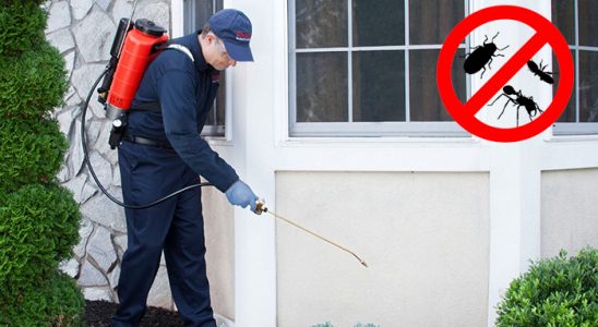 Derepazarı Tahtakurusu İlaçlama böcek ilaçlama ve haşere kontrolü — ilaclama-tr.com